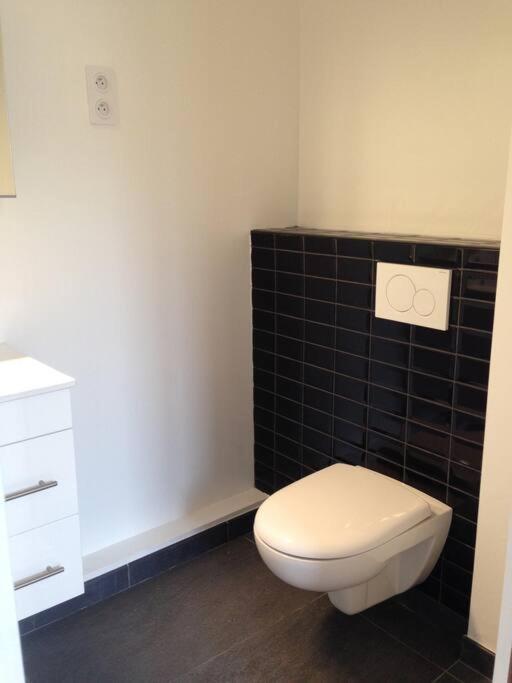 Duplex 45M2 -Zac L'Oreal - Palais De Justice Paris 克利希 外观 照片
