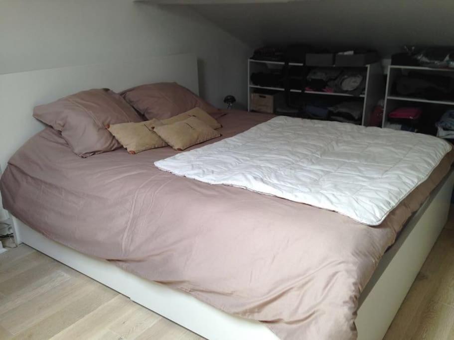 Duplex 45M2 -Zac L'Oreal - Palais De Justice Paris 克利希 外观 照片